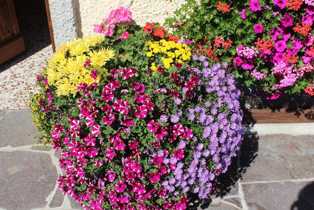 Plombergbauer Apartman Sankt Gilgen Kültér fotó